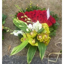 Sympathy 9 - Prices start from £95.00